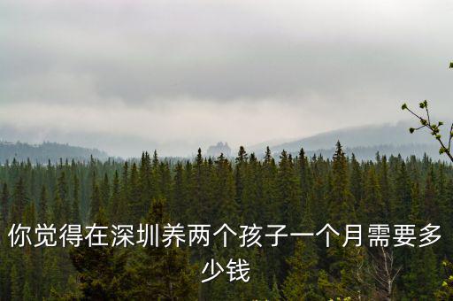 你覺得在深圳養兩個孩子一個月需要多少錢