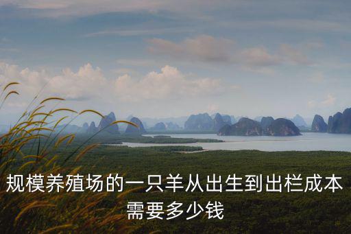 山東一只羊多少錢2020,羊苗多少錢一只