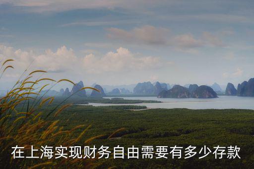 在上海實現(xiàn)財務(wù)自由需要有多少存款