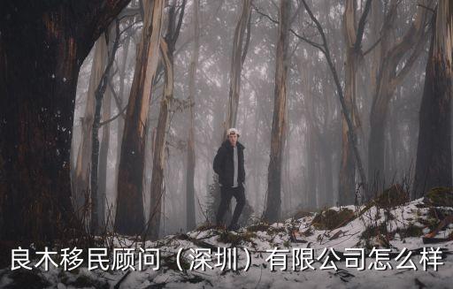 良木移民顧問（深圳）有限公司怎么樣