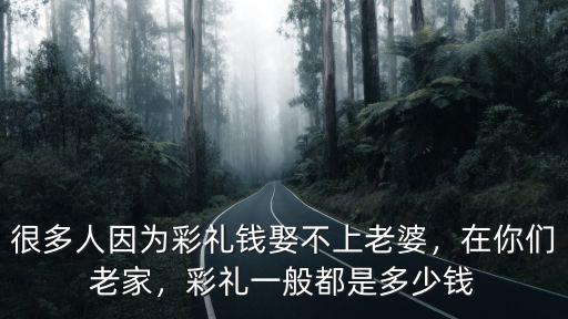 很多人因為彩禮錢娶不上老婆，在你們老家，彩禮一般都是多少錢