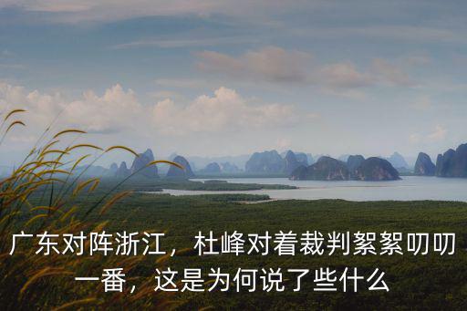 廣東對陣浙江，杜峰對著裁判絮絮叨叨一番，這是為何說了些什么