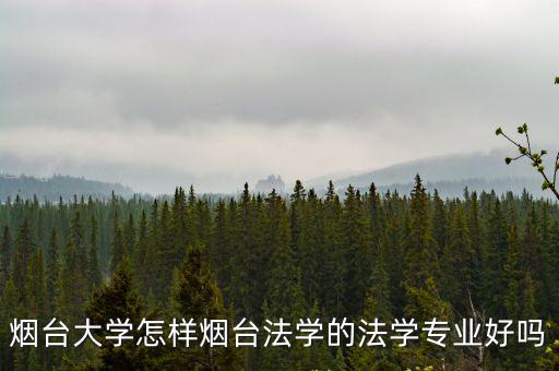 煙臺大學(xué)法學(xué)院的學(xué)費是多少,是所什么水平的大學(xué)呢