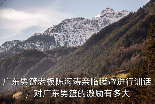 廣東男籃老總資產(chǎn)多少,對(duì)廣東男籃的激勵(lì)有多大