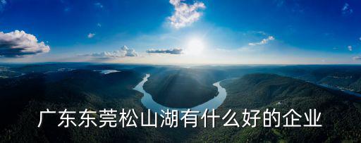廣東東莞松山湖有什么好的企業