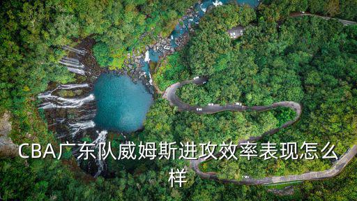 CBA廣東隊威姆斯進攻效率表現(xiàn)怎么樣