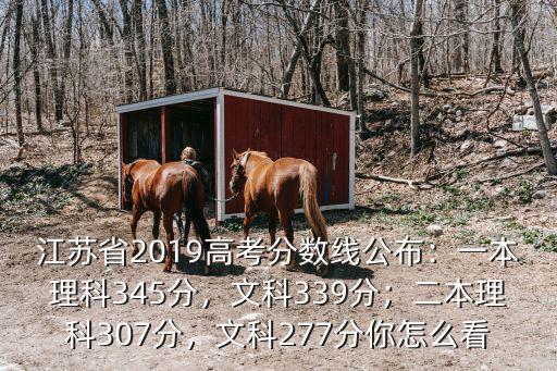 江蘇省2019高考分數線公布：一本理科345分，文科339分；二本理科307分，文科277分你怎么看