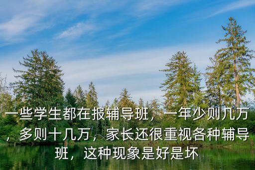 一些學生都在報輔導班，一年少則幾萬，多則十幾萬，家長還很重視各種輔導班，這種現(xiàn)象是好是壞