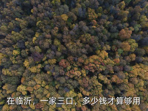 在臨沂，一家三口，多少錢才算夠用