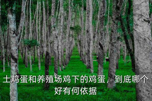 土雞蛋和養(yǎng)殖場雞下的雞蛋，到底哪個好有何依據