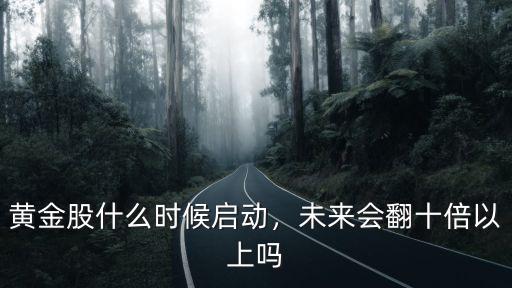 黃金股什么時(shí)候啟動(dòng)，未來(lái)會(huì)翻十倍以上嗎