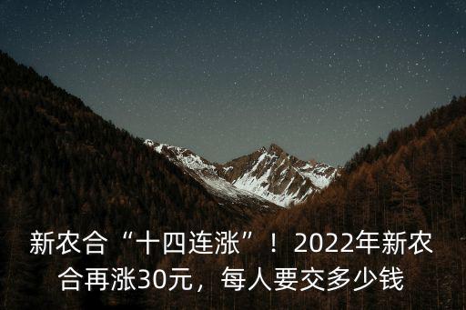 廣東省2022年新農保多少錢,2022年新農保繳費