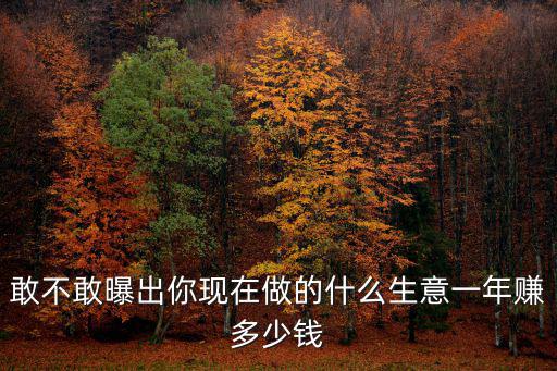 敢不敢曝出你現在做的什么生意一年賺多少錢