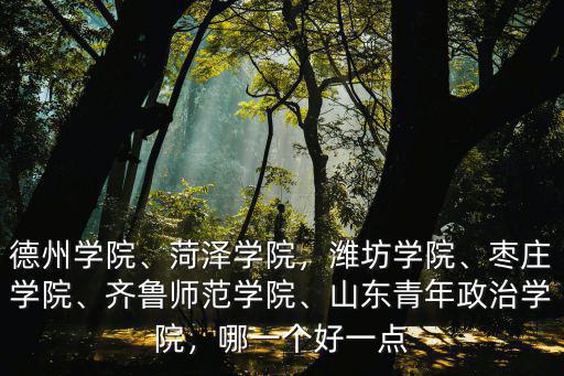 山東青年政治學院舞蹈系多少分,山東青年政治學院怎么樣