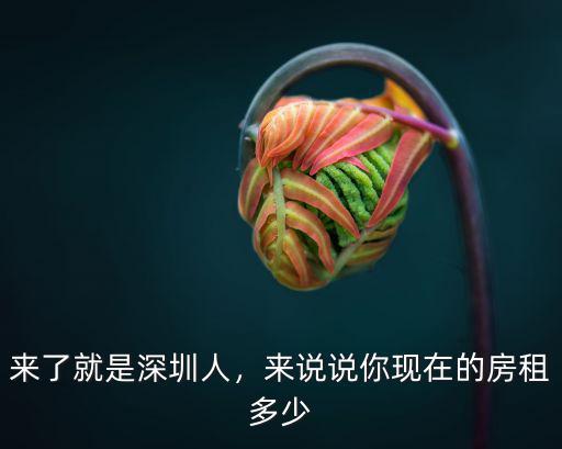 來了就是深圳人，來說說你現(xiàn)在的房租多少