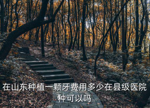 在山東種植一顆牙費用多少在縣級醫院種可以嗎
