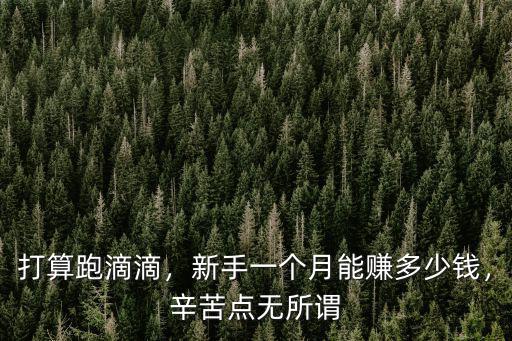 在杭州跑滴滴一個月能賺多少,新手一個月能賺多少錢