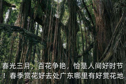 春光三月，百花爭(zhēng)艷，恰是人間好時(shí)節(jié)！春季賞花好去處廣東哪里有好賞花地