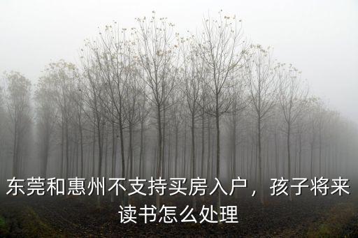 東莞和惠州不支持買房入戶，孩子將來讀書怎么處理