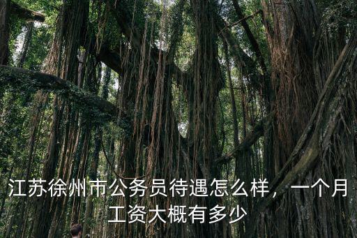 2017年徐州社平工資是多少,一個(gè)月工資大概有多少