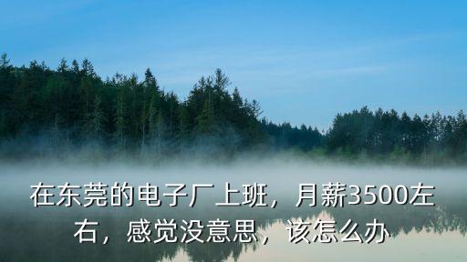 東莞上班工資低怎么辦,為什么東莞工廠工資那么低