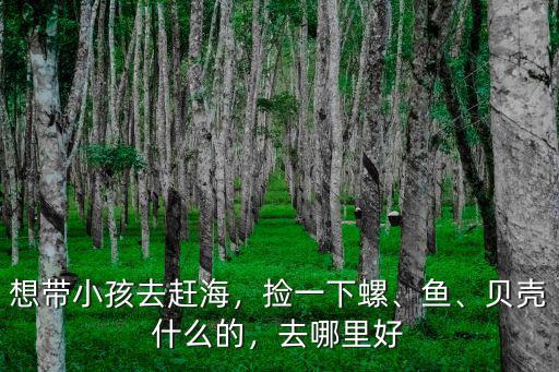廣東哪里可以帶小孩子去撿貝殼,想帶小孩去趕海