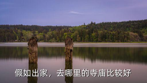 假如出家，去哪里的寺廟比較好