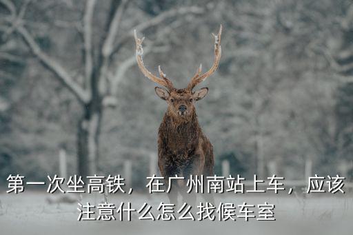 廣州南站藍牙怎么找,怎么找候車室