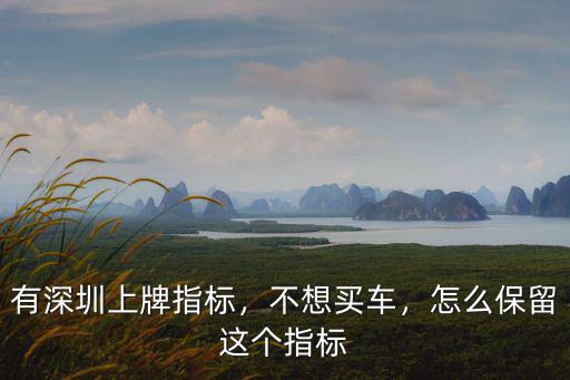 有深圳上牌指標(biāo)，不想買車，怎么保留這個指標(biāo)