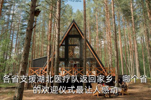 山東醫(yī)療隊(duì)返回多少人,各省支援湖北醫(yī)療隊(duì)返回家鄉(xiāng)