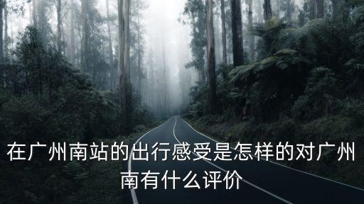 在廣州南站的出行感受是怎樣的對廣州南有什么評價