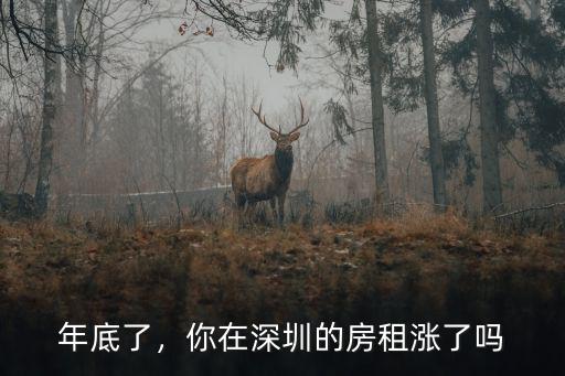 深圳房租怎么了,深圳房租又上漲了