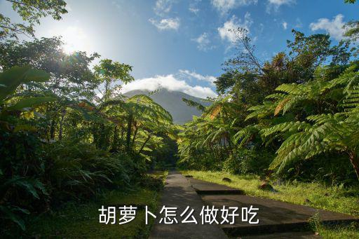 胡蘿卜怎么做好吃