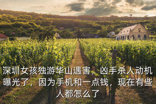 深圳女孩獨游華山遇害，兇手殺人動機曝光了，因為手機和一點錢，現在有些人都怎么了