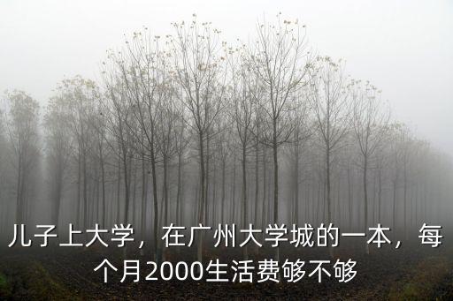 兒子上大學，在廣州大學城的一本，每個月2000生活費夠不夠
