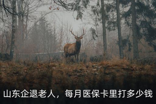 山東企退老人，每月醫保卡里打多少錢