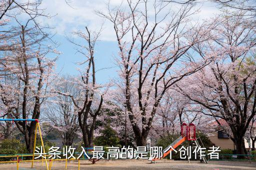頭條收入最高的是哪個創(chuàng)作者