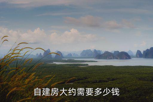 自建房大約需要多少錢