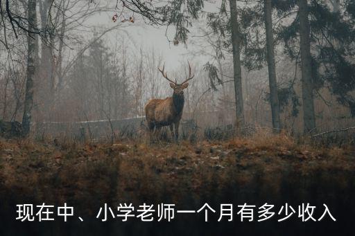 無錫老師的工資約多少,小學老師一個月有多少收入