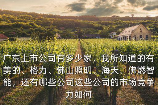廣東佛山市有多少個上市企業,廣東上市公司有多少家