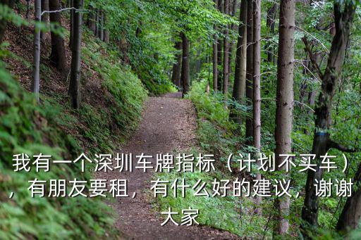 一個人可以有多少個深圳車牌,我有一個深圳車牌指標