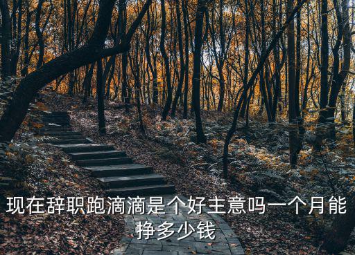 常州跑網約車一個月能掙多少錢,現在辭職跑滴滴是個好主意嗎