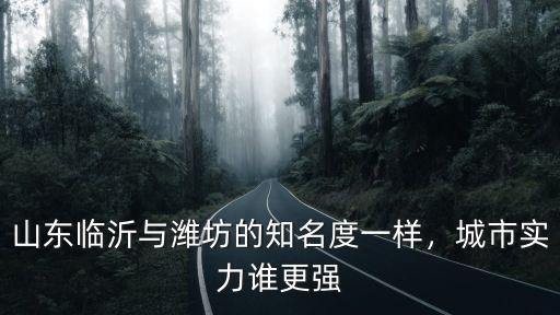 臨沂跟濰坊差多少,臨沂和濰坊哪個好