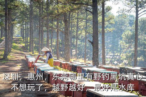 深圳，惠州，東莞哪里有野釣黑坑真心不想玩了，越野越好，最好是水庫(kù)