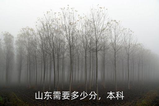山東需要多少分，本科