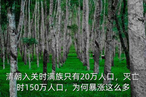 清朝滅亡時南京人口多少,清朝明明沒有南京這個地名