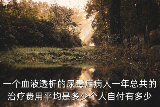 一個血液透析的尿毒癥病人一年總共的治療費用平均是多少個人自付有多少