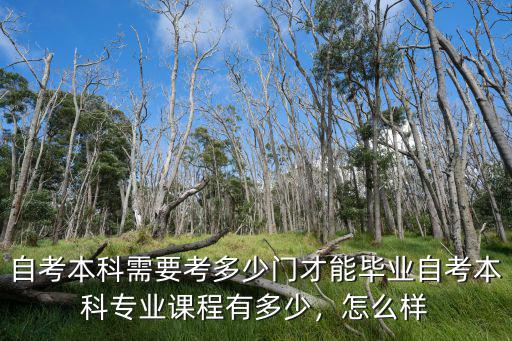 深圳自考本科要考多少門科目,自考本科專業(yè)課程有多少