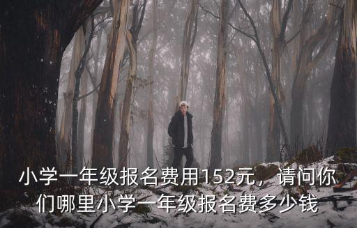 小學(xué)一年級(jí)報(bào)名費(fèi)用152元，請(qǐng)問你們哪里小學(xué)一年級(jí)報(bào)名費(fèi)多少錢