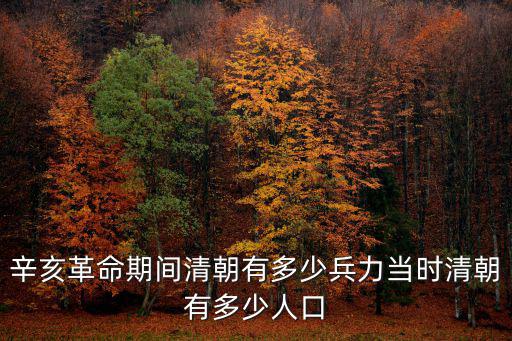 清朝江蘇人口有多少,辛亥革命期間清朝有多少兵力